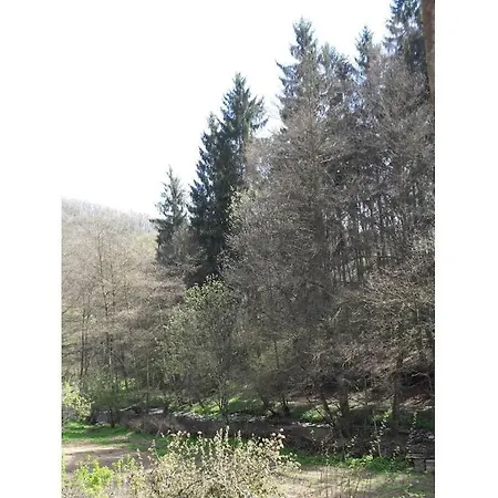 펜션 Main Building Neumuehle Lutzerath