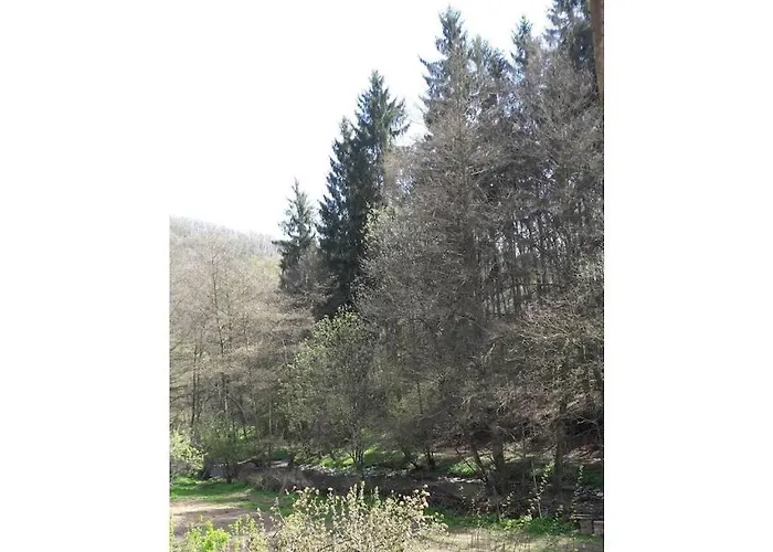 펜션 Main Building Neumuehle Lutzerath