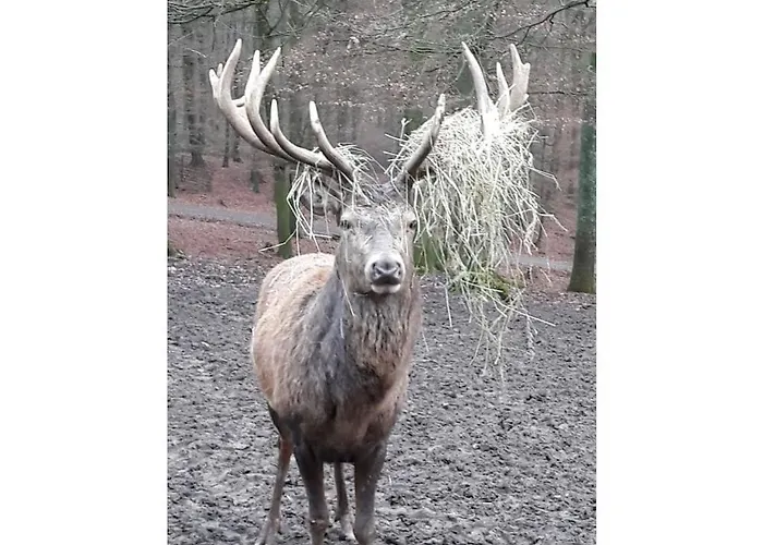 Main Building Neumuehle 펜션