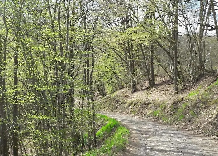 펜션 Main Building Neumuehle