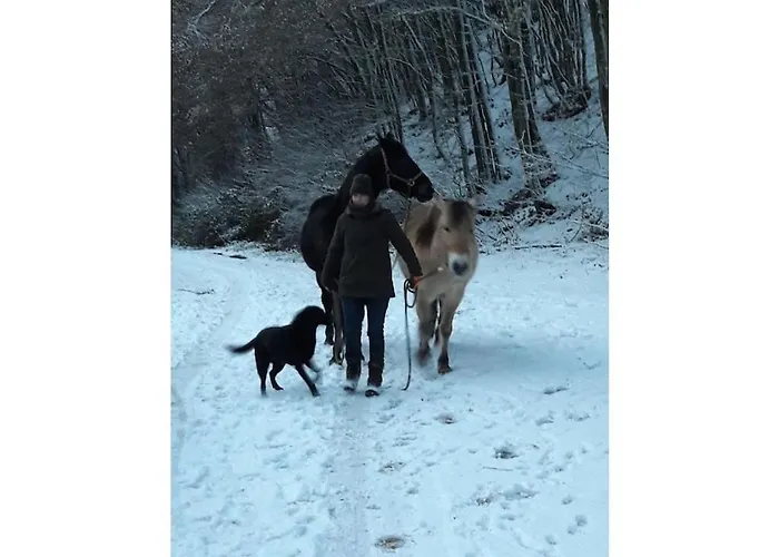 Main Building Neumuehle